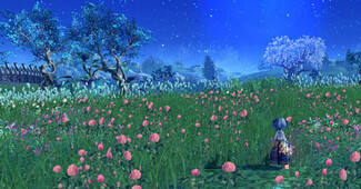 夜幕风之平原 国服副本风景美图