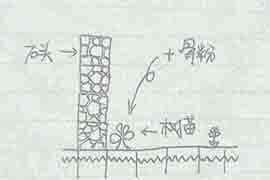良心攻略 激萌手绘教你实用生活技巧