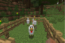 鸡生蛋蛋生鸡 我的世界鸡蛋怎么获取