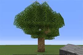 参天大树平地起一定要用金坷垃 小树苗养成计划