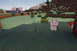 带着条狼独赏樱花 妹子一个人玩的好寂寞