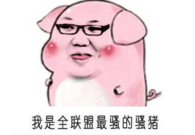 LOL主播微信表情包 那个骚猪占了八成！