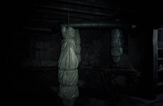 《生化危机7》PC版4K分辨率最高画质截图赏