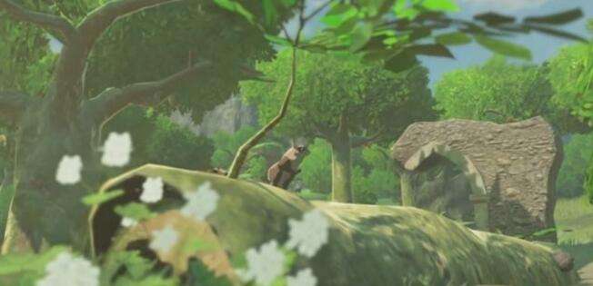 WiiU《塞尔达传说：荒野之息》需要3G容量