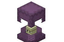 我的世界潜影贝 藏在盒子里面的小可爱简介