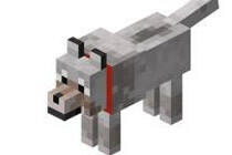  可以被驯化的可爱小东西 我的世界狼属性 