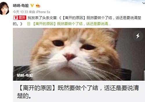 拳师七号与龟娘:七号指责网络水军逼疯龟娘