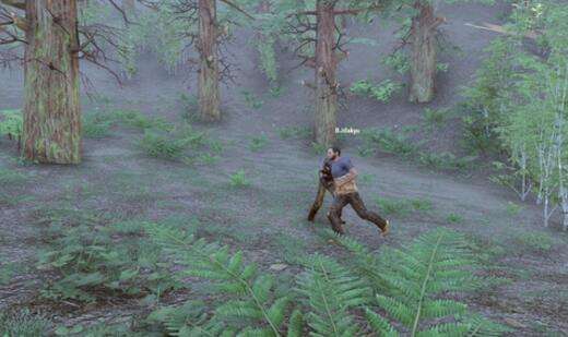 h1z1是哪个国家哪个公司的游戏 游戏史揭秘_特