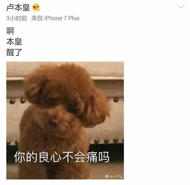 卢本皇是什么梗 卢本皇跟卢本伟是什么关系