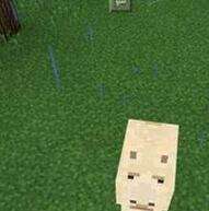 我的世界羊驼吃些什么 羊驼繁殖方法攻略