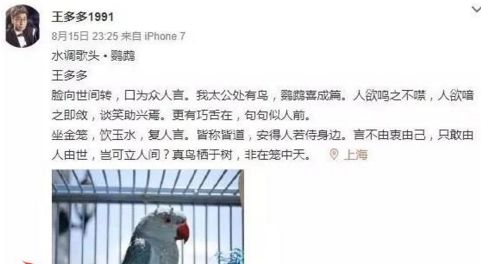 王多多为什么叫电竞白岩松 王多多金句盘点