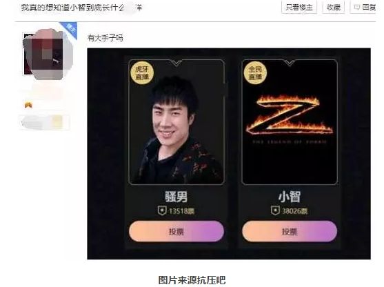 小智得票超PDD 网友:明目张胆刷票?