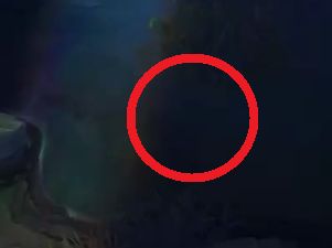 掠食者华而不实?电刑人马打野细节剖析