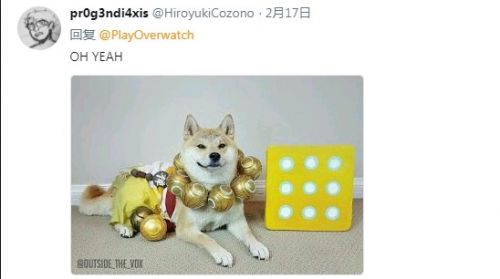 《守望先锋》将举办萌狗节目 网友晒狗支持