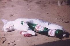 巨兽讨伐小队穿越了 皮肤原型来自中国?