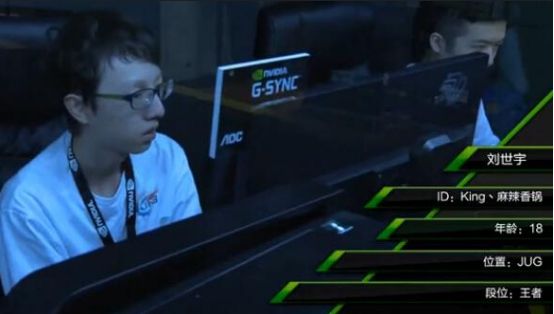 了却君王天下事 RNG新生代打野传奇