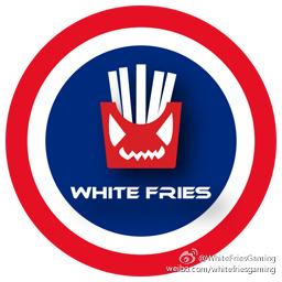 人齐接队 ZSMJ战队WhiteFries正式公布