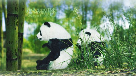 温馨温情天涯明月刀熊猫美图 你是我的国宝