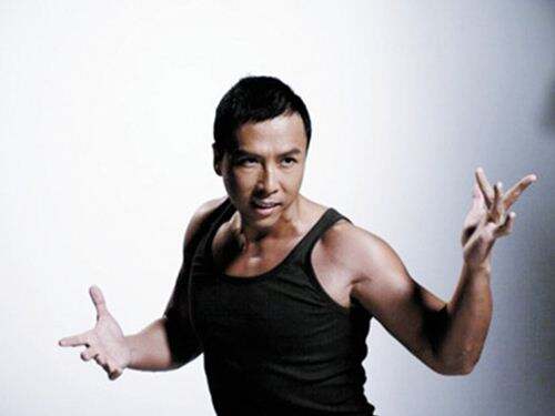 无论从气质还是身手,甄子丹完全适合这个角色,凌厉霸气.