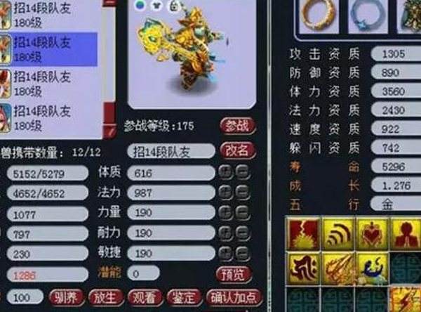 小梅沙服战队伍武神坛战宠秀 强势威震八方