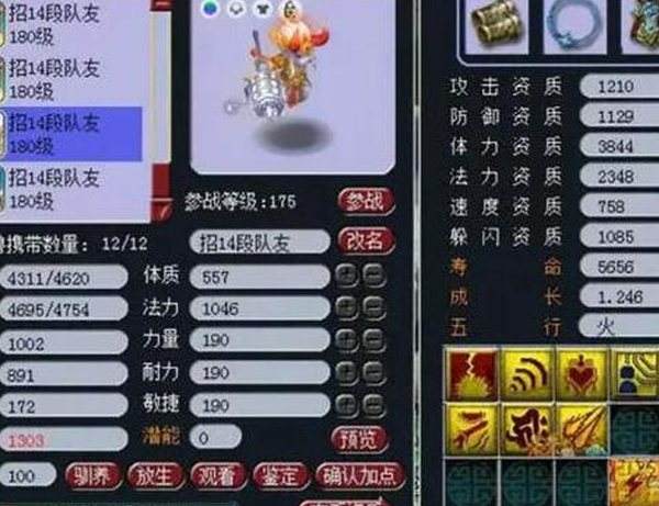 小梅沙服战队伍武神坛战宠秀 强势威震八方