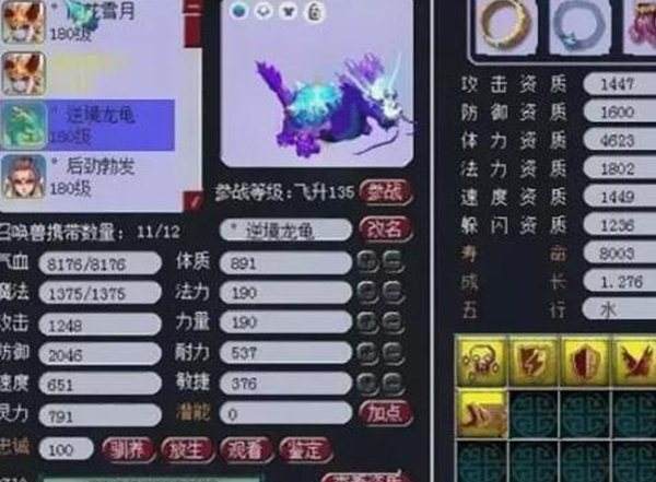 小梅沙服战队伍武神坛战宠秀 强势威震八方