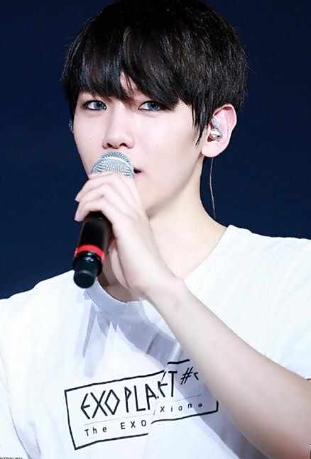 看边伯贤直播lol教程 伯贤直播lol地址在哪