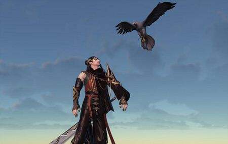 神刀堂技能解读想要赢我先问我肩上的鹰2