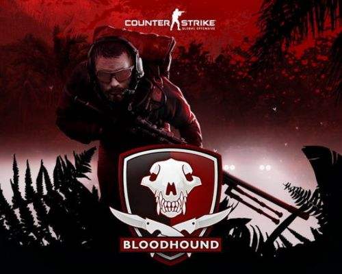 csgo代理 csgo国服将至 完美世界宣布代理