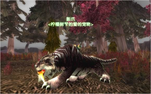 魔兽世界猎人宝宝图鉴大全 全宠物图文介绍