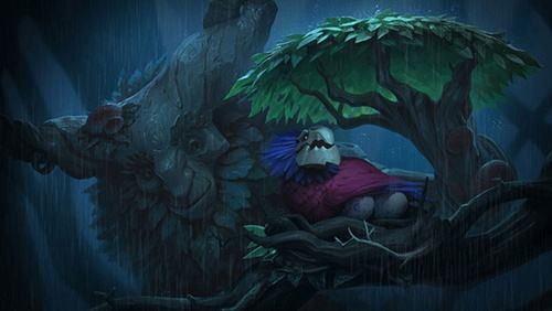 森林之友适合走哪一路 艾翁的定位是什么