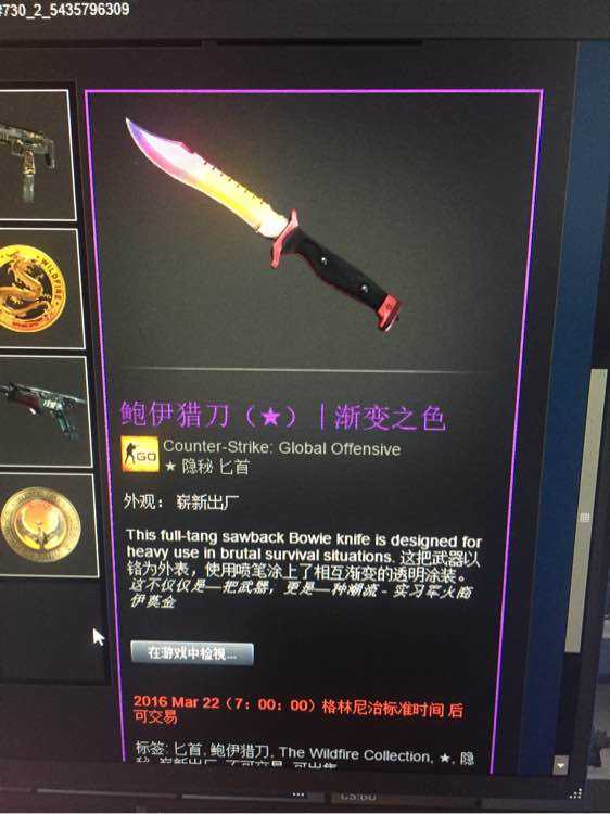 csgo鲍伊猎刀简介 csgo鲍伊猎刀价格