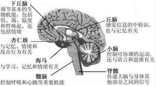 玩游戏可以抗抑郁 做游戏容易得抑郁？