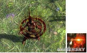 敏捷技能宝石介绍 全敏捷技能与效果一览