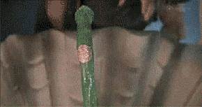 LOL打狗bang是什么梗？BANG和UZI到底哪个强