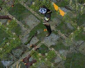 流放之路树篱迷宫在哪里 树篱迷宫找不到