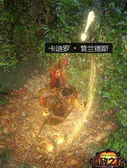 流放之路普兰德斯金币是什么 普兰德斯金币获取