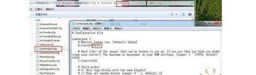 我的世界1.10.2 伐木工MOD [