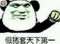 假猪套天下第一表情包 DNF假猪套天下第一