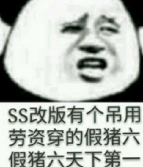 dnf假猪套天下第一表情包 dnf的表情包一览