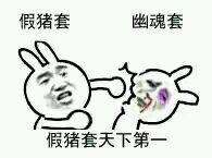 假猪套天下第一是什么梗 这个梗出自于哪里