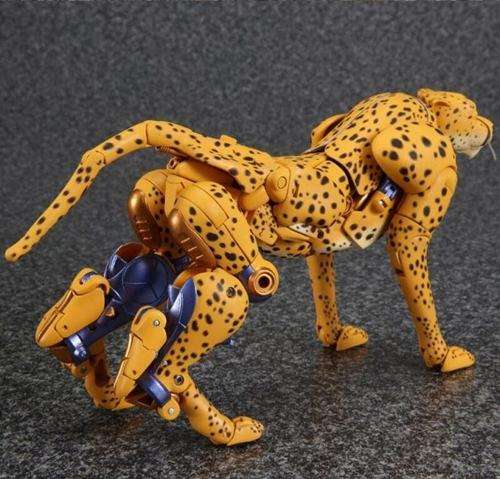 变形金刚MP34黄豹大图更新 MP34黄豹赏析