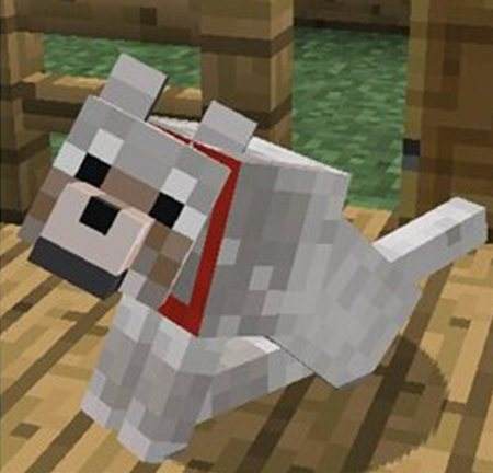 我的世界狗是怎么驯服和圈养的方法讲解