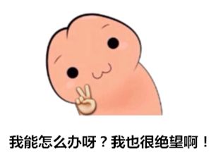 稳如戒色吧老哥 段位一直上不去怪打飞机