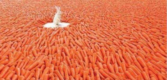 阿兹里的秘宝库里到底有什么 图解女王宝库