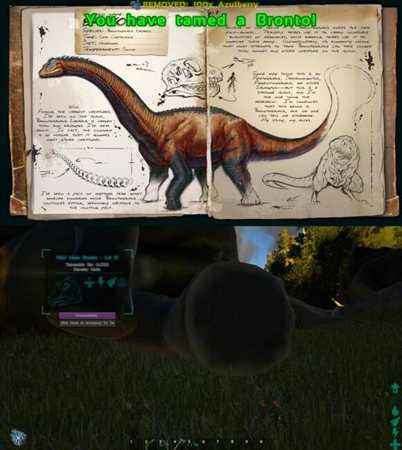 方舟生寸进化宠物推荐 不同等级养不同宠物