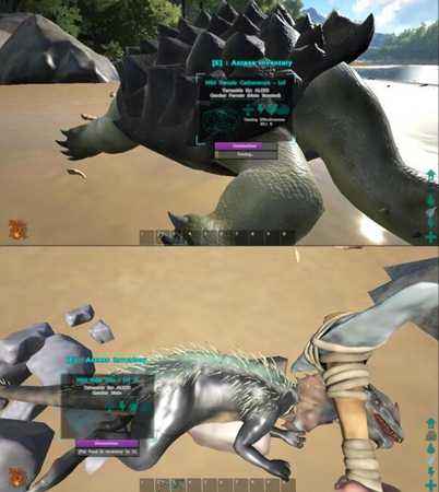 方舟生寸进化宠物推荐 不同等级养不同宠物