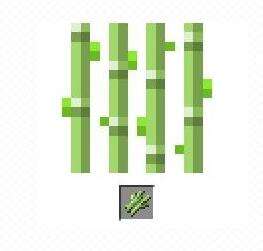 我的世界甘蔗什么用 甘蔗的获取途径