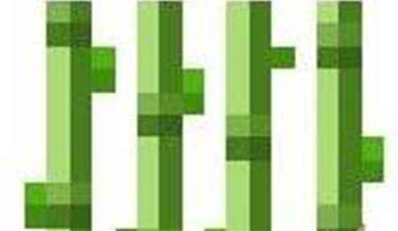 我的世界植物介绍 我的世界甘蔗的属性攻略