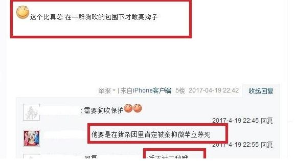 RNG粉丝团竟有波兰家族 网友：怕是活不过3秒